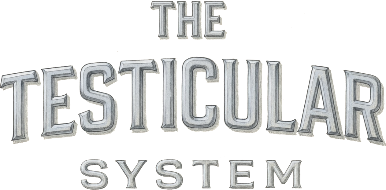 The Testicular System — banner